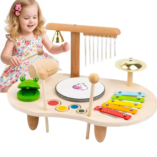 Montessori Percussion Set